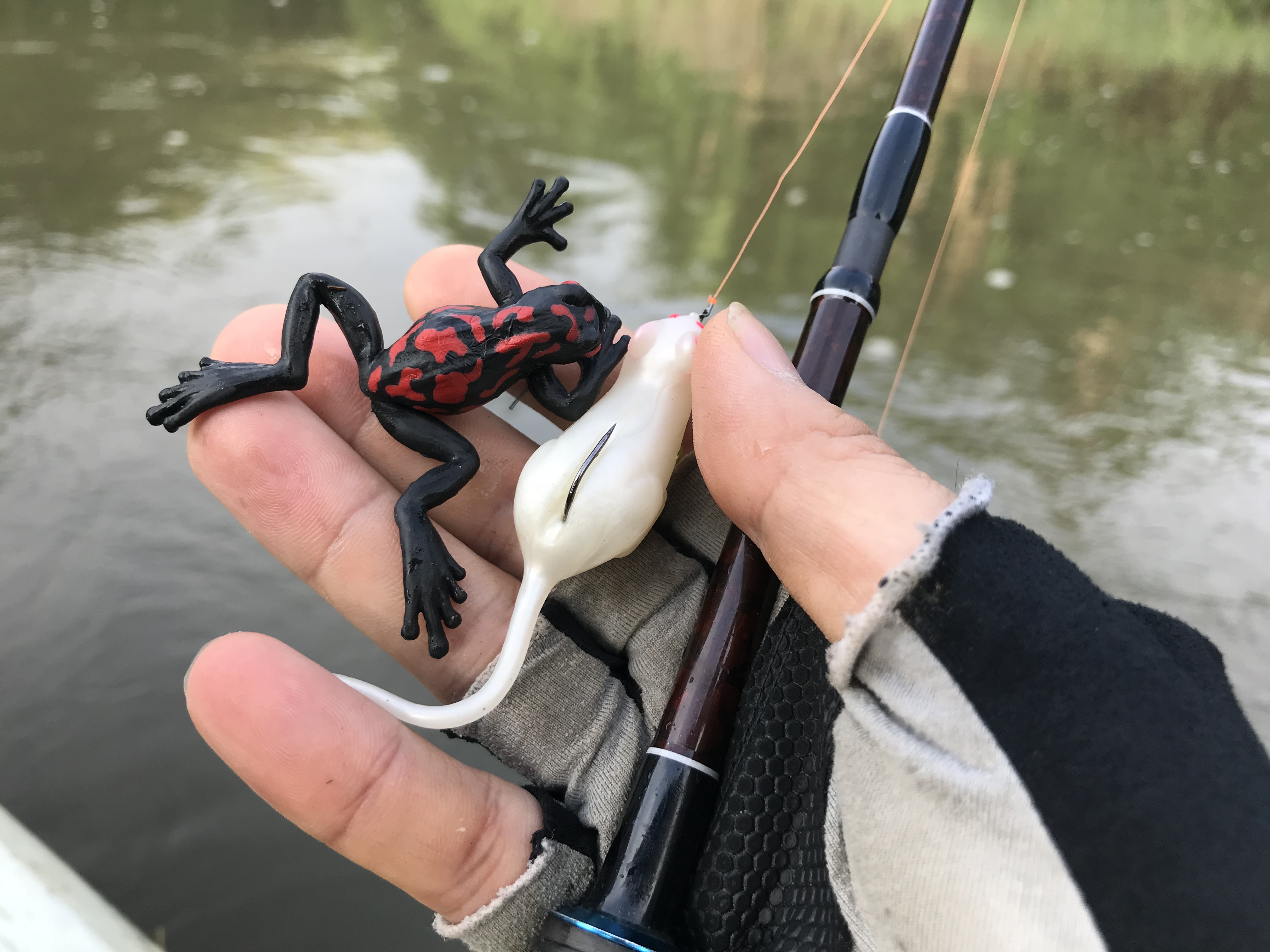 釣行 サマーパターン始まってきた 野良ネズミと自作クランクで攻める利根川水系バス釣り ナナブンノニブログ