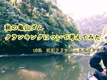 秋の亀山ダムでクランキングについて考えてきた with ほぼフリッパーカケヅカさん