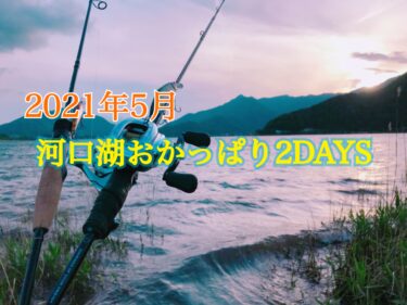 【20年振り】河口湖でおかっぱりバス釣り。スポーニング真っ最中の5月をトップで釣る