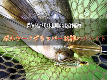 【釣行記】関東梅雨入り。バズベイトシーズンが本格的に開幕［利根川水系］